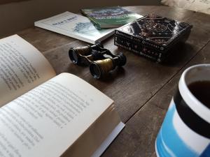 Knihovna v bed and breakfast