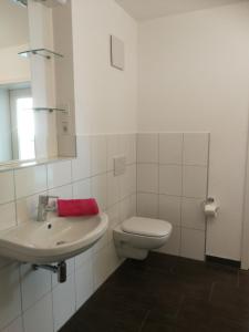 a bathroom with a white toilet and a sink at Apartment Ahrbergen in Giesen