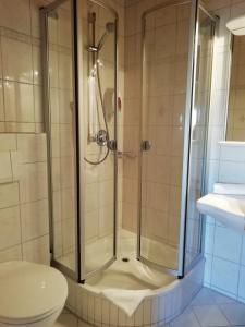 ein Bad mit einer Dusche, einem WC und einem Waschbecken in der Unterkunft Hotel-Restaurant Walserhof in Wasserburg