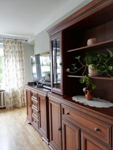 a large wooden cabinet with a mirror and some plants at Apartament Classic in Malbork