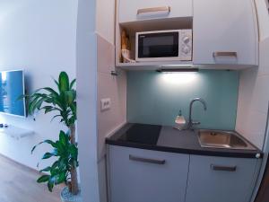 a small kitchen with a sink and a microwave at City Center Studio 4 Two in Pula +6 photos