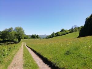 Příroda nedaleko prázdninového domu