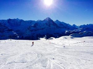 Luxury, new - amazing views Grindelwald Eiger Jungfrau Mönch v zimě