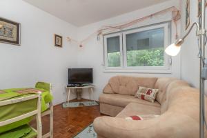 TV a/nebo společenská místnost v ubytování Apartment Radja
