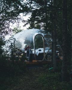 a dome tent sitting in the woods in a forest at Trones Eye in Verdal