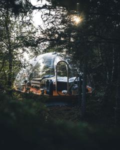 a clear dome tent sitting in the middle of a forest at Trones Eye in Verdal