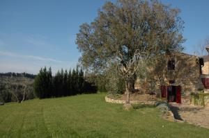 una vieja casa de piedra con un árbol en un campo en Romantic House en Greve in Chianti