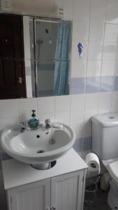 a bathroom with a sink and a toilet at Llandeilo Farmhouse in Llandeilo