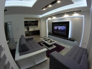 sala de estar con chimenea y TV en Grey apartment, en Niš