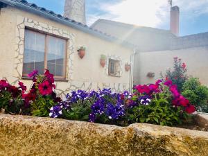 Vonkajšia záhrada v ubytovaní Casa rural del labrador