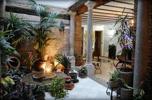 グラナダにあるペンシオン アルフィンの鉢植えの植物がたくさん並ぶ部屋