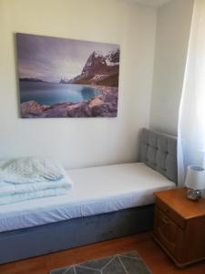 1 cama en una habitación con una foto en la pared en Apartament Sosnowy en Ustka