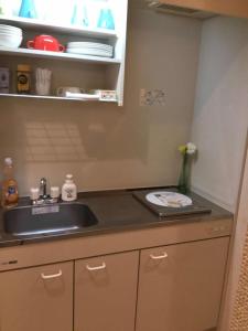 a kitchen with a sink and a counter top at 駅近-JR小岩駅まで徒歩3分 Leo小岩203 in Tokyo