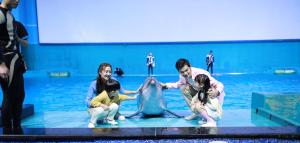 Eine Gruppe von Menschen mit einem Delfin im Wasser in der Unterkunft Novotel Nanchang Sunac in Nanchang