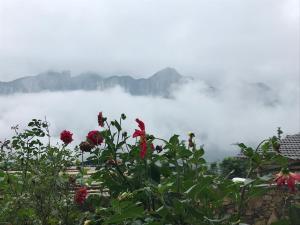 农家乐周边自然景观