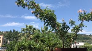 een groep bomen en palmbomen in een stad bij Masseria Torca - Isca in Massa Lubrense