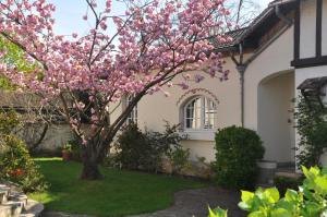 una magnolia en el patio de una casa en Maison d'hôtes Paris Riverside, en Saint-Maur-des-Fossés