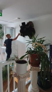 Fotografie z fotogalerie ubytování Råda Hotel v destinaci Hagfors