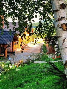 a view of a street with a tree and a sidewalk at Dachna Sadyba PB in Migovo