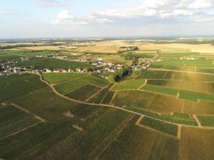 uma vista aérea de uma aldeia num campo em La pause nuitonne em Nuits-Saint-Georges
