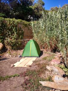 Zahrada ubytování Les Bambous, camping naturiste