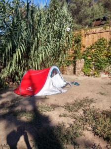 Zahrada ubytování Les Bambous, camping naturiste