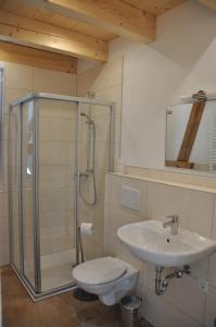 een badkamer met een douche, een toilet en een wastafel bij Ferienhof Waggershauser in Friedrichshafen