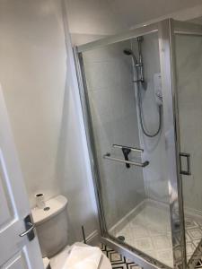 a bathroom with a shower and a toilet at Bay View Apartment in Newbiggin-by-the-Sea