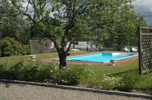 una piscina en un patio con un árbol en Järvsöbaden, en Järvsö