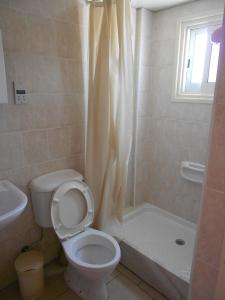 e bagno con servizi igienici, doccia e lavandino. di Denis Hotel a Nicosia