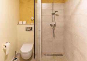 a bathroom with a shower with a toilet at Vila na Kamenu in Dobrinj +42 photos