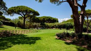 a park with green grass and trees and a field at Les Pins de l'Escalet in Ramatuelle