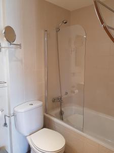a bathroom with a shower and a toilet and a tub at Soldeu Paradis Tarter Alt in Canillo +11 photos