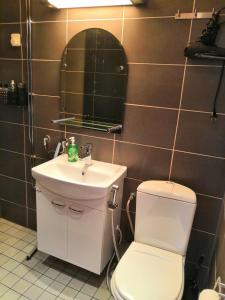 a bathroom with a toilet and a sink and a mirror at City Apartment Haapaniemenkatu in Kuopio