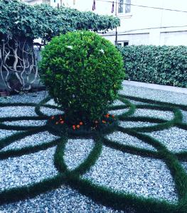 Afbeelding uit fotogalerij van Green Garden in Zugdidi