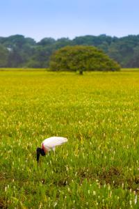 Paisagem natural perto do bed and breakfast