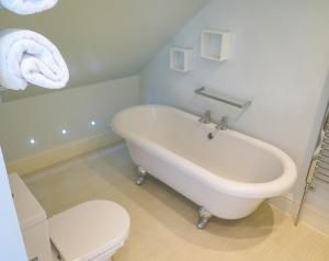 a white bath tub in a bathroom with a toilet at Broad Park Villa in Ilfracombe