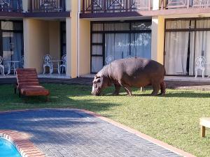 a large hippo standing in the grass near a swimming pool at Elephant Lake Hotel in St Lucia