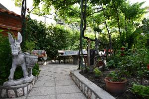 Zahrada ubytování Apartments Josip