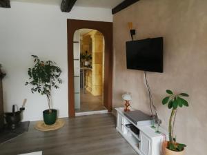 a living room with a flat screen tv on a wall at Ferienwohnung am Finkenherd in Dankerode