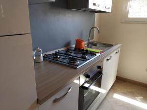 a small kitchen with a stove and a sink at Villa "Maritima" in SantʼAndrea