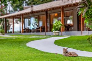 O animal ou animais de estimação com os hóspedes em Pousada Piuval