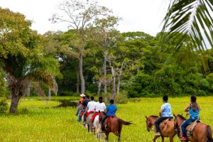 Os clientes hospedados em Pousada Piuval