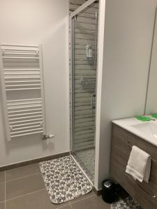 a bathroom with a shower and a sink at RAYAN 4 étoiles - Proche Lac & Vieille Ville, Garage Privé, Secteur recherché in Annecy +37 photos