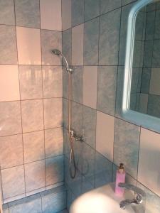 La salle de bains est pourvue d'une douche et d'un lavabo. dans l'établissement Pensiunea Everest, à Craiova