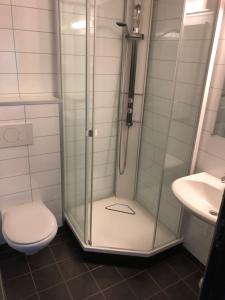 GaustablikkにあるDen Lykkelige Sportsmannのバスルーム(シャワー、トイレ、シンク付)