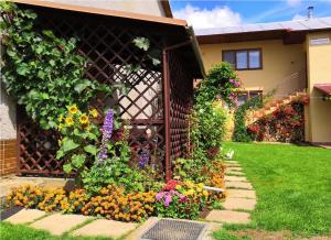 Zahrada ubytování Apartmány Potok