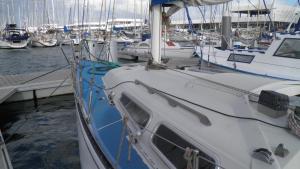 a white boat docked at a dock with other boats at Velero Freja in Arrecife