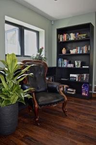 School house Portaferry في بورتافيري: كرسي أسود في غرفة معيشة مع نبات