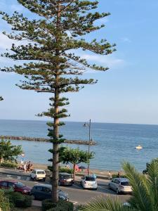 un pino in un parcheggio vicino all'oceano di Sun, beach and bike a Santo Stefano al Mare
